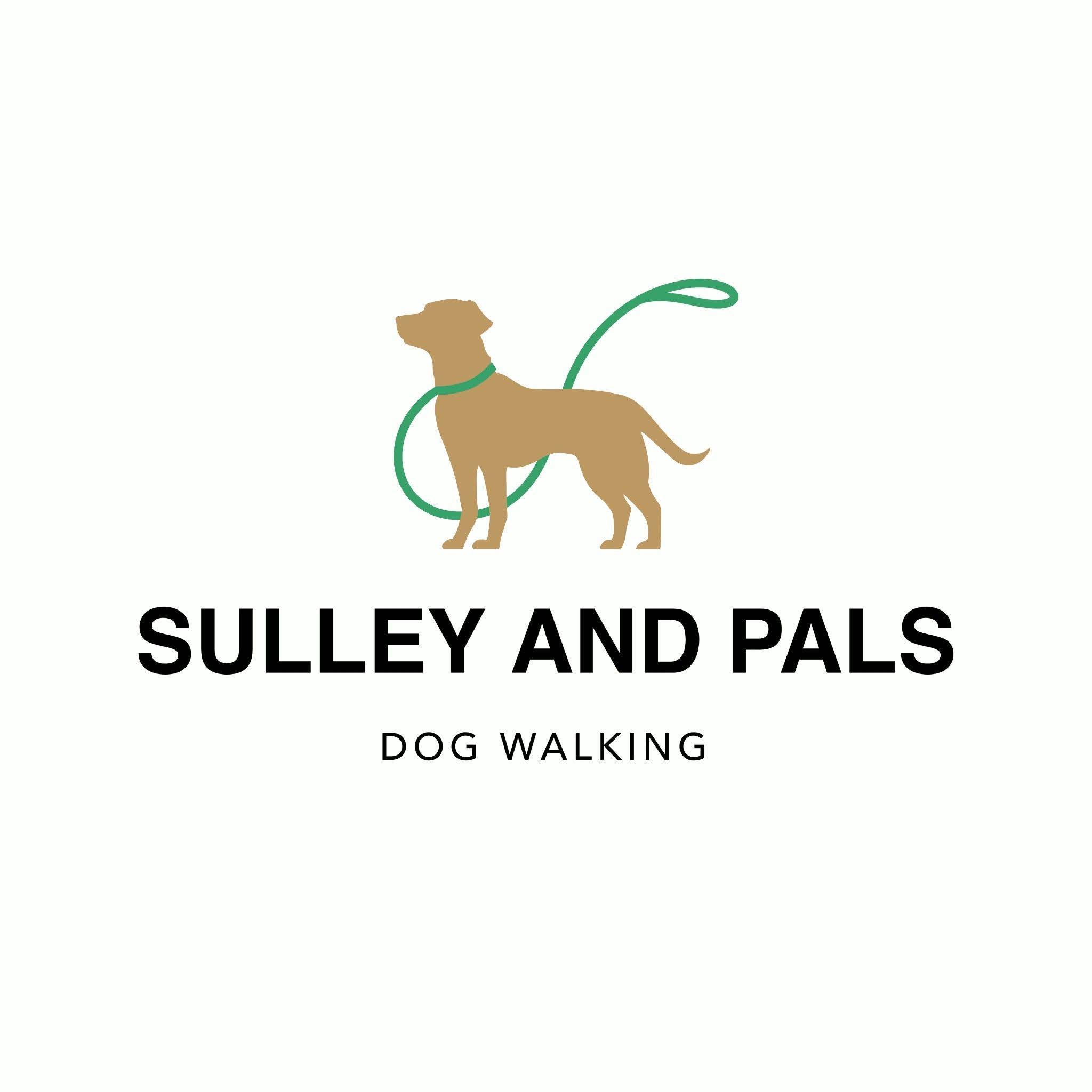 Sulley and Pals Dog Walking